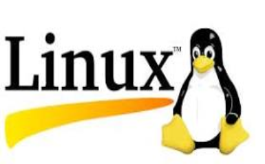 Linux Fundamentals : Practice Test